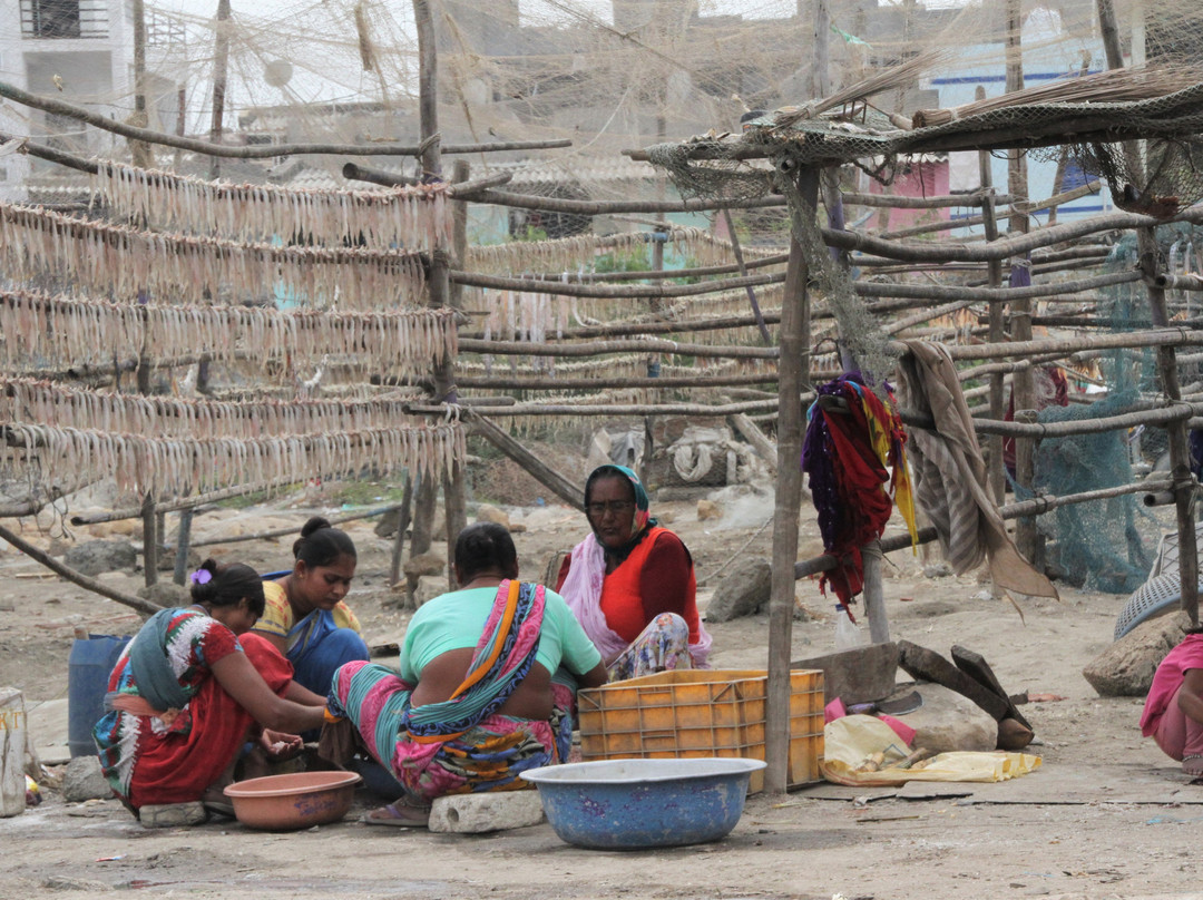 Vanakbara Beach-Vanakbara必去景点