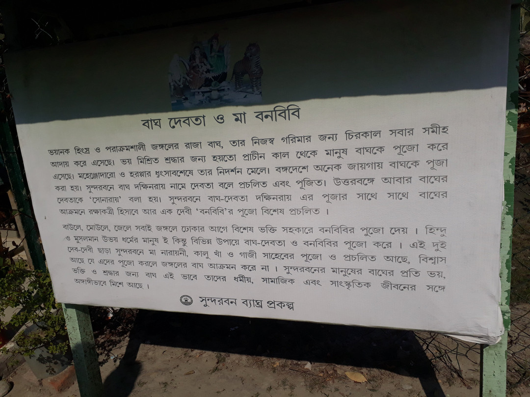 Sudhanyakhali Watch Tower景点图片