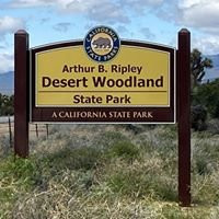 Arthur B. Ripley Desert Woodland State Park-兰开斯特必去景点