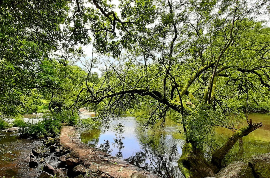 Les Roches Du Diable-Guilligomarc’h必去景点