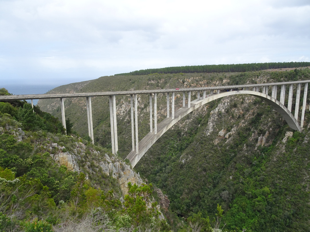 Bloukrans Bridge景点图片