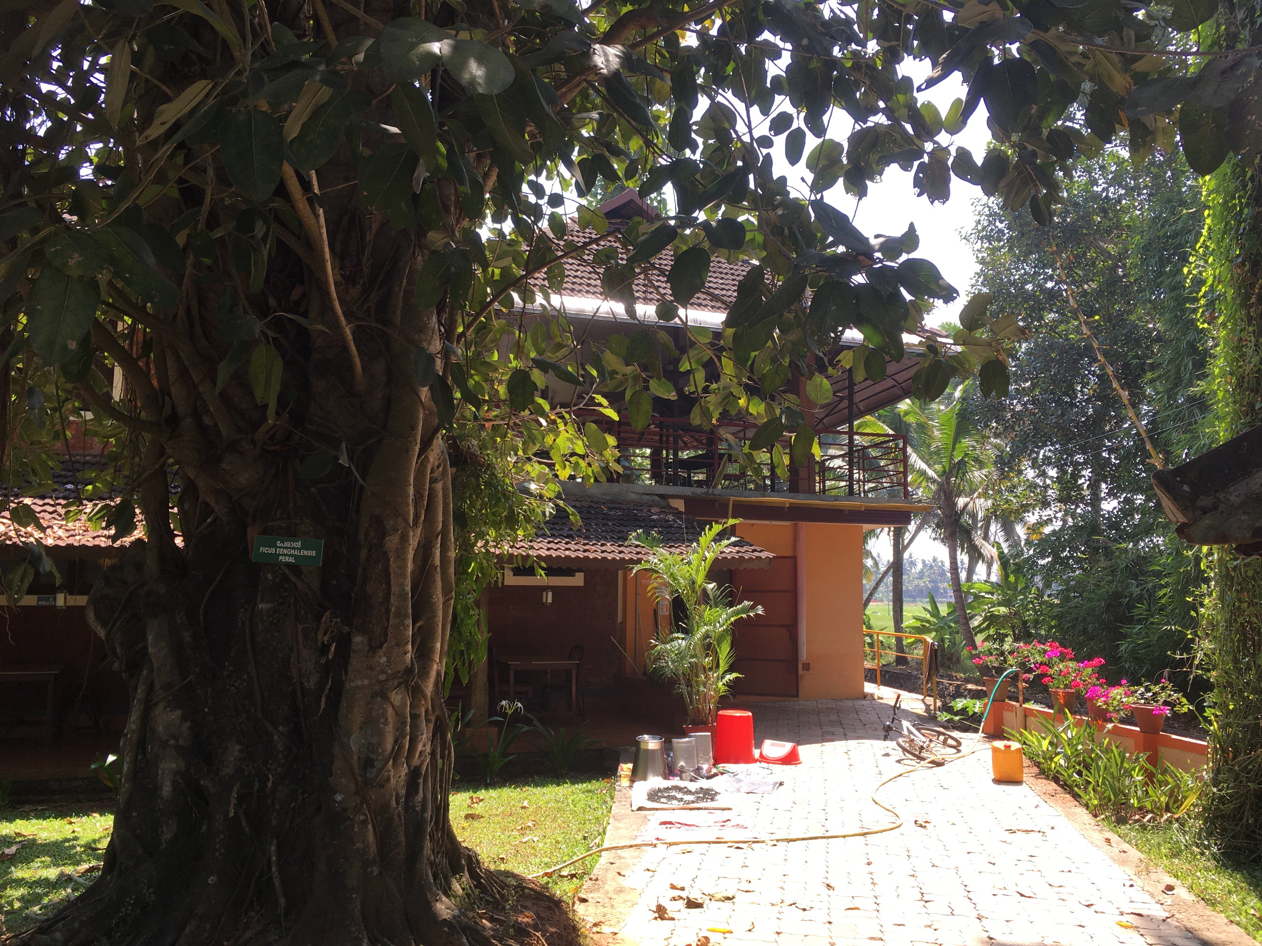 Athreya Ayurvedic Centre-餐饮