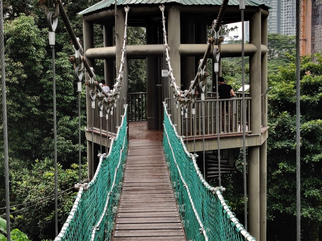 咖啡山森林保护区-吉隆坡必去景点