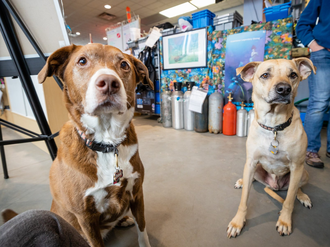 Aquatic Adventures of Michigan-Hartland必去景点
