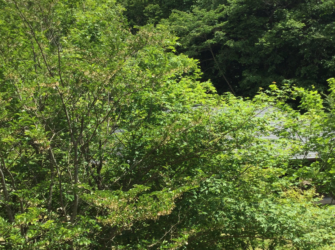 Kitakamigawa Genryu Park-岩手町必去景点