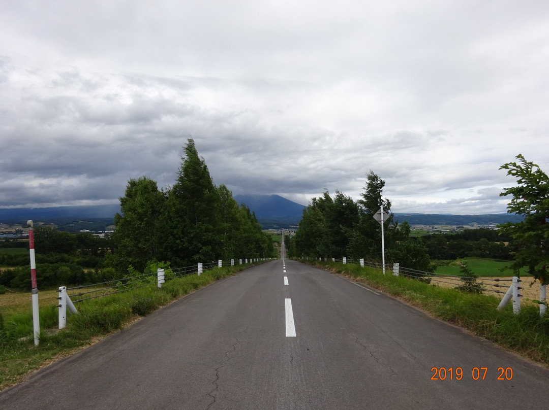 Panorama Road Ehana (Kamifurano Town Road No. 21)景点图片
