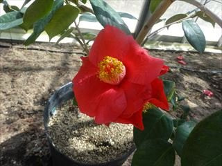 Oshima Park-大岛町必去景点