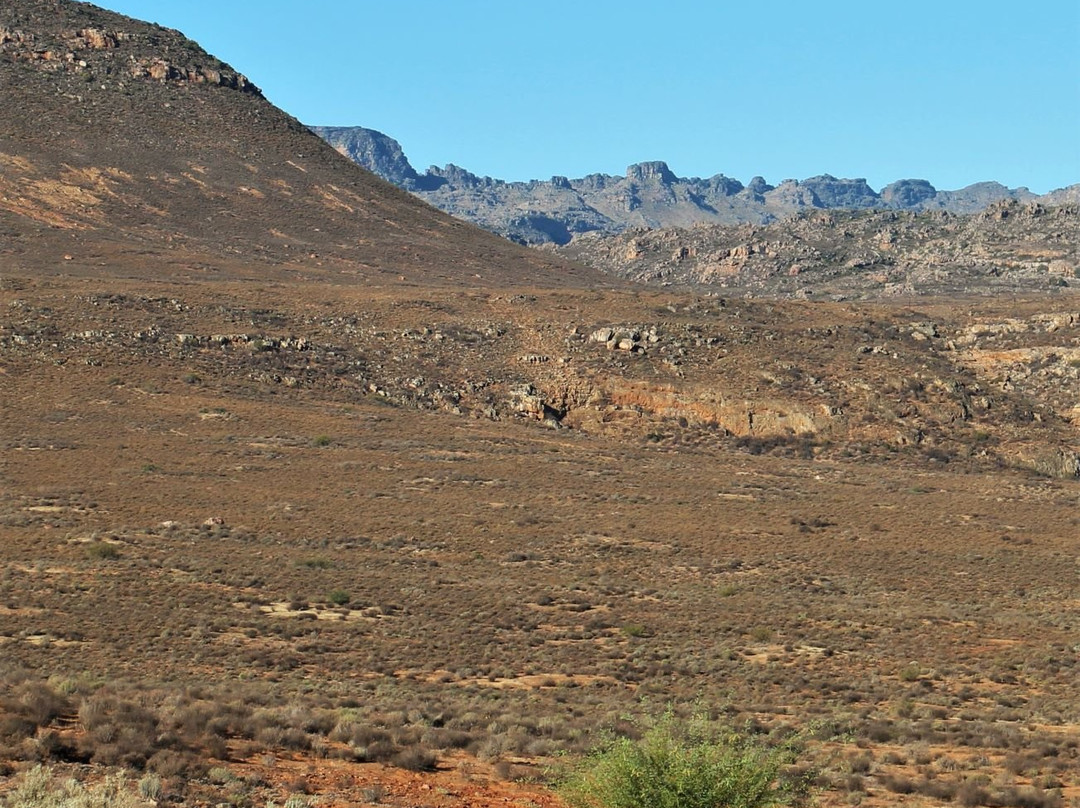 Simbavati Cederberg Ridge主图