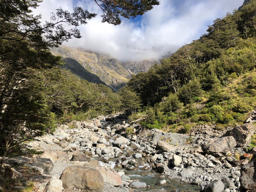 Bealey Valley Track景点图片