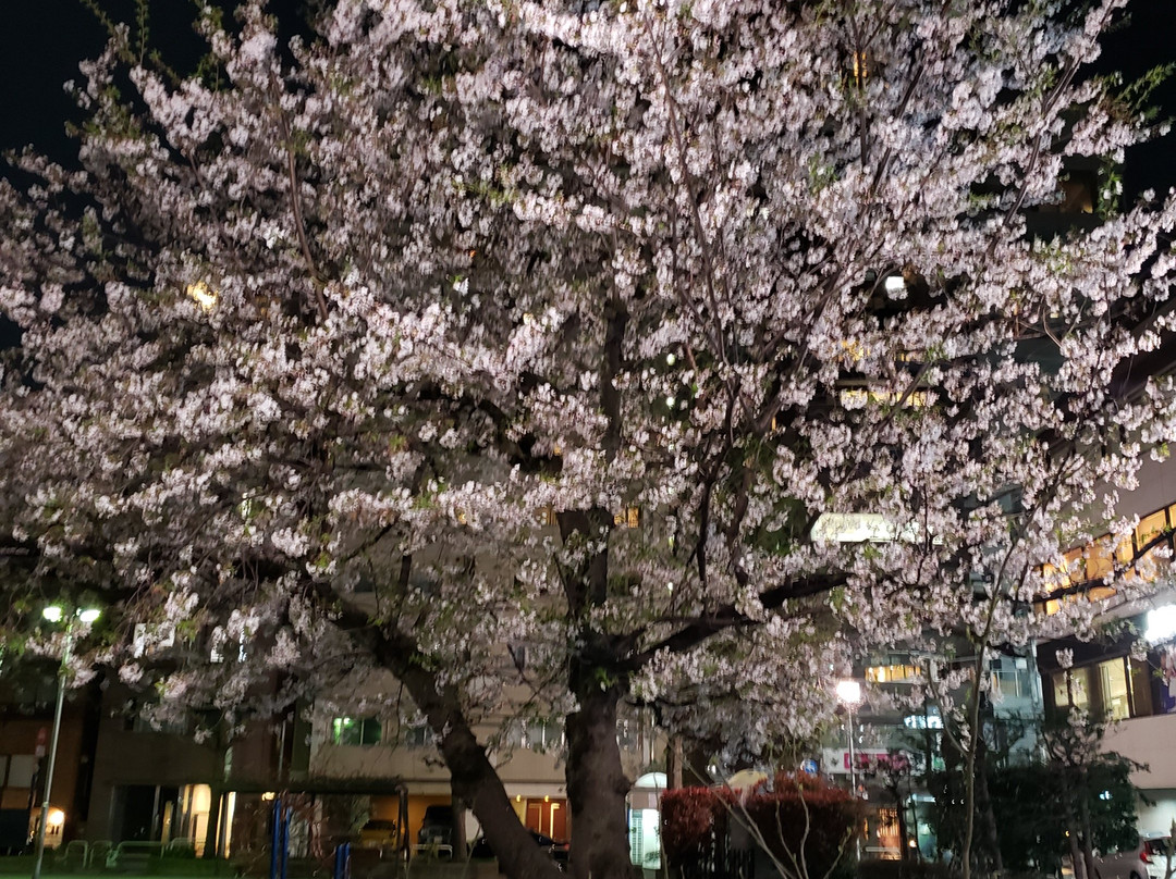 Amishiro Park-Azabujuban必去景点