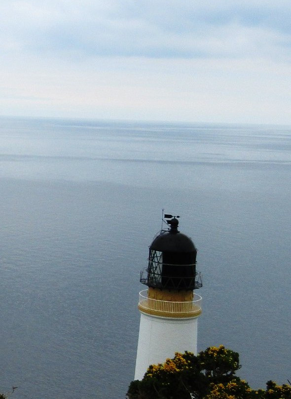 Maughold Head-Maughold必去景点