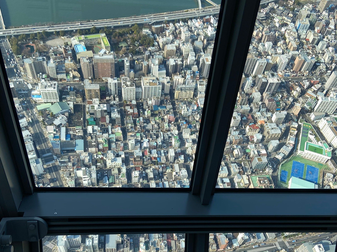 东京天空树景点图片