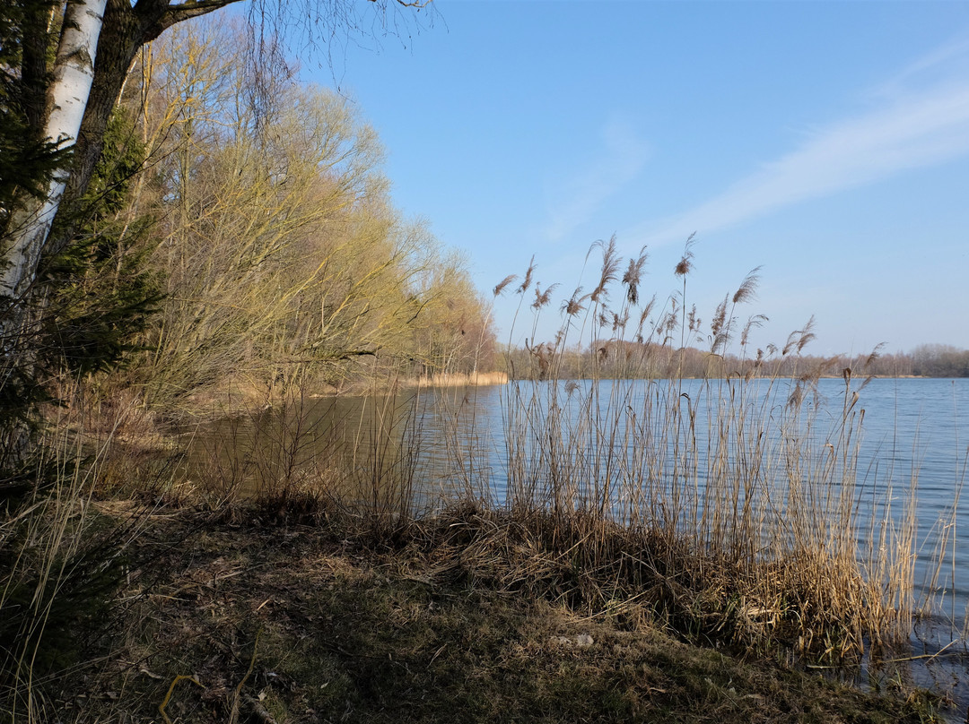 Teich Anna Sued-Helmstedt必去景点