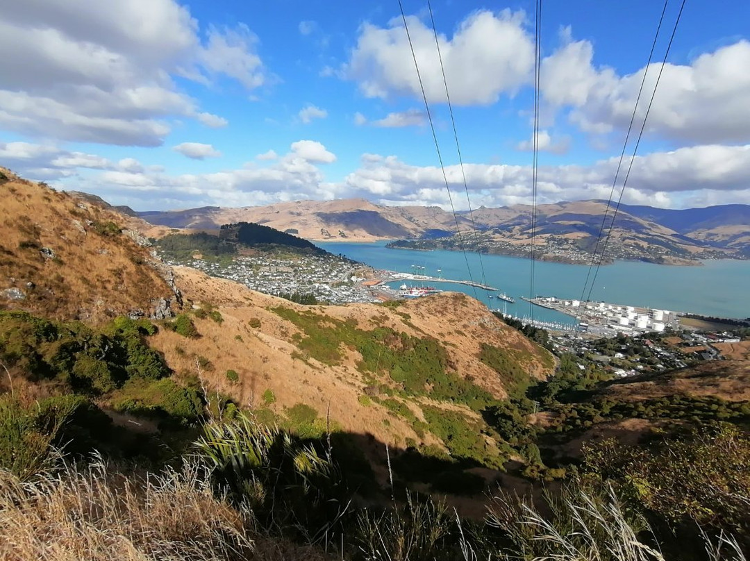 Bridle Path-基督城必去景点