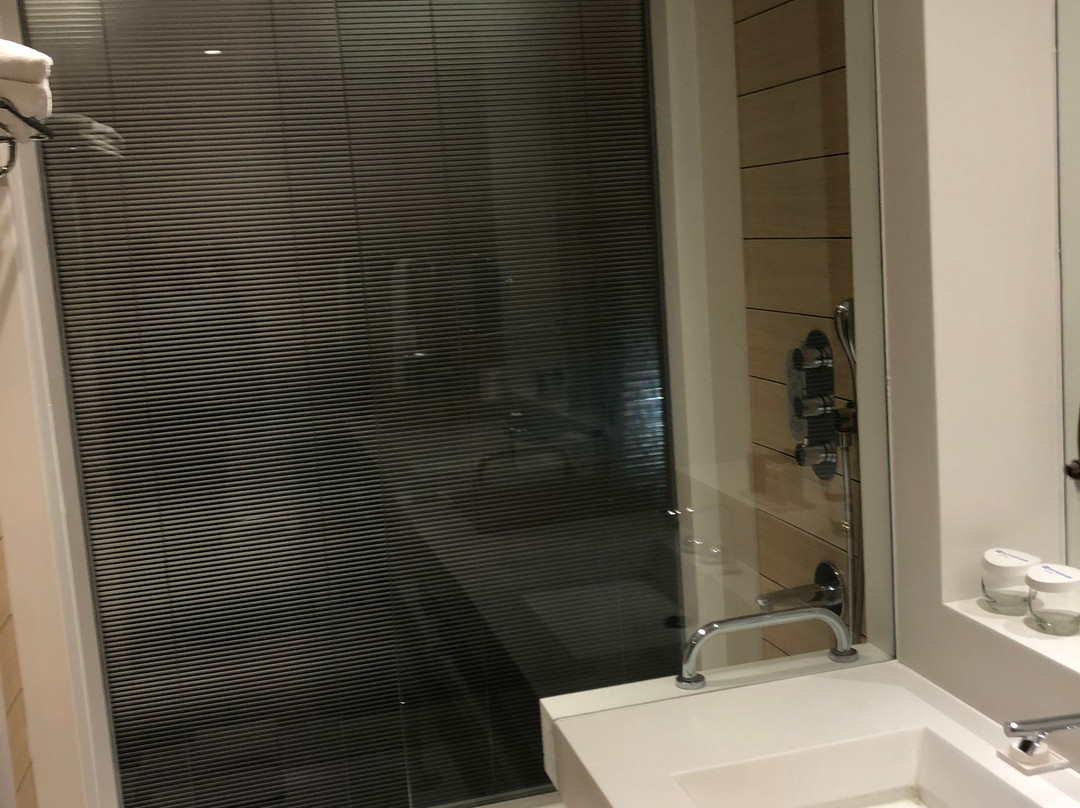 Wyndham Ankara主图