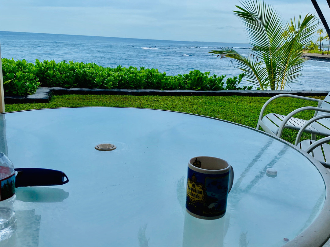 Captain Cook Trading Co.-基亚拉凯库亚必去景点