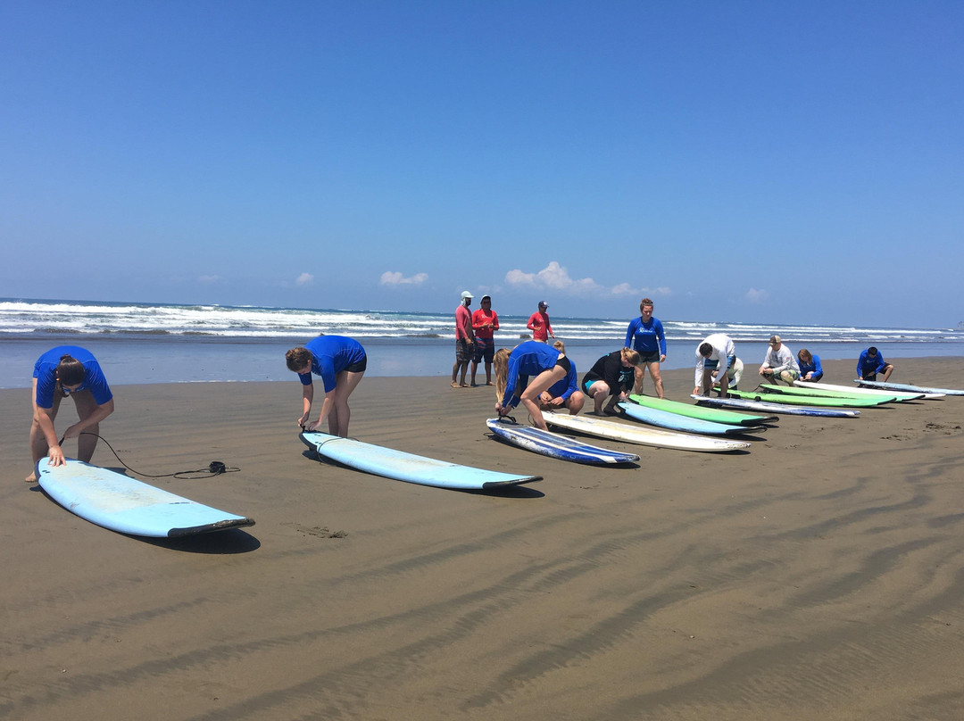 CRESCENTIA EXPEDITIONS COSTA RICA景点图片