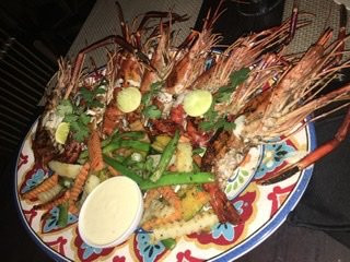 Zephyr Talalla主图