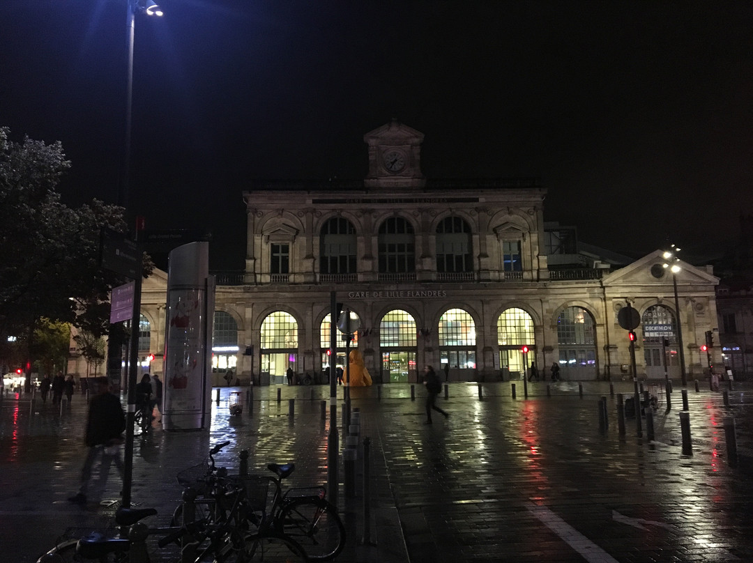 Gare Lille Flandres-里尔必去景点