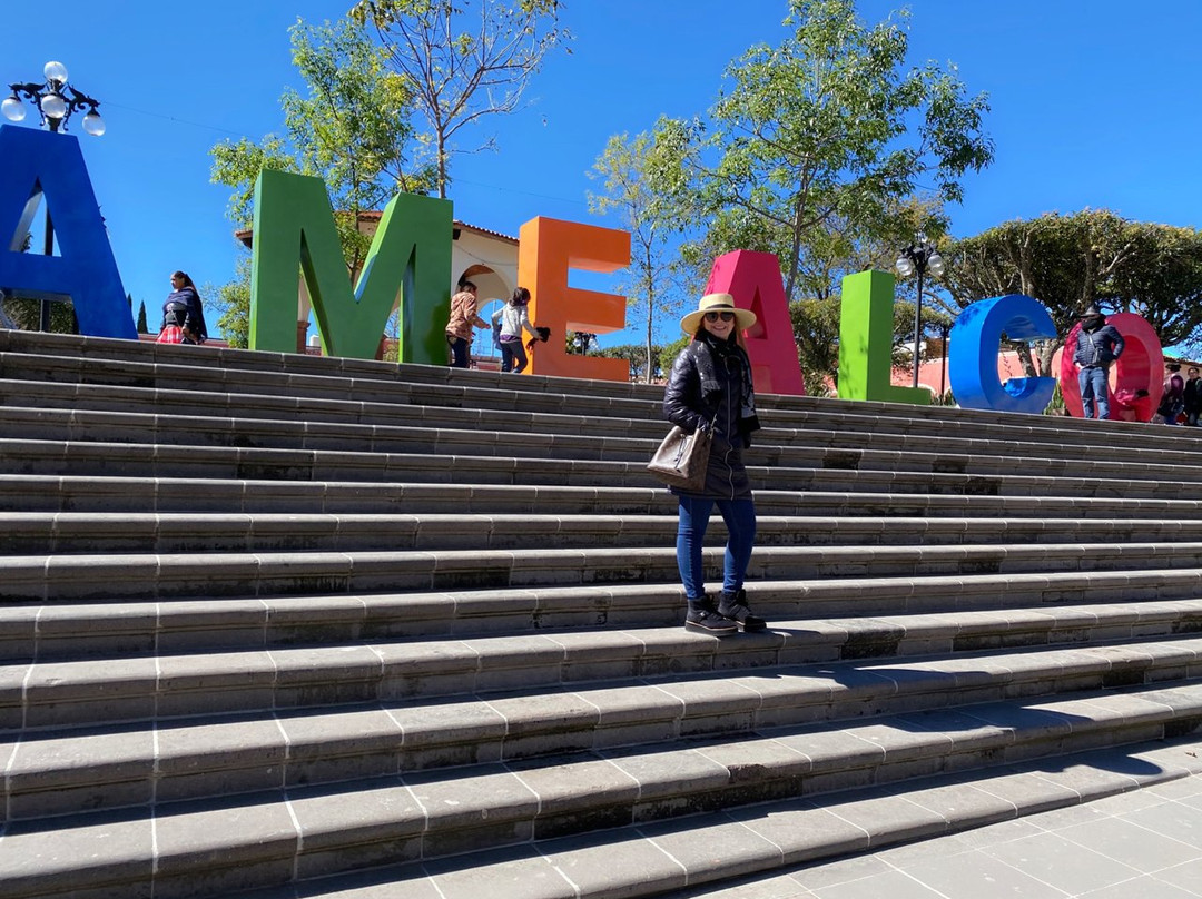 Museo De La Muneca景点图片