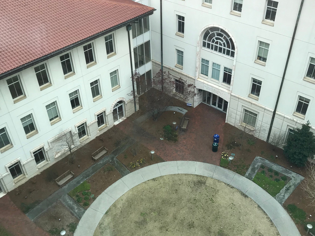 艾默理大学-亚特兰大必去景点