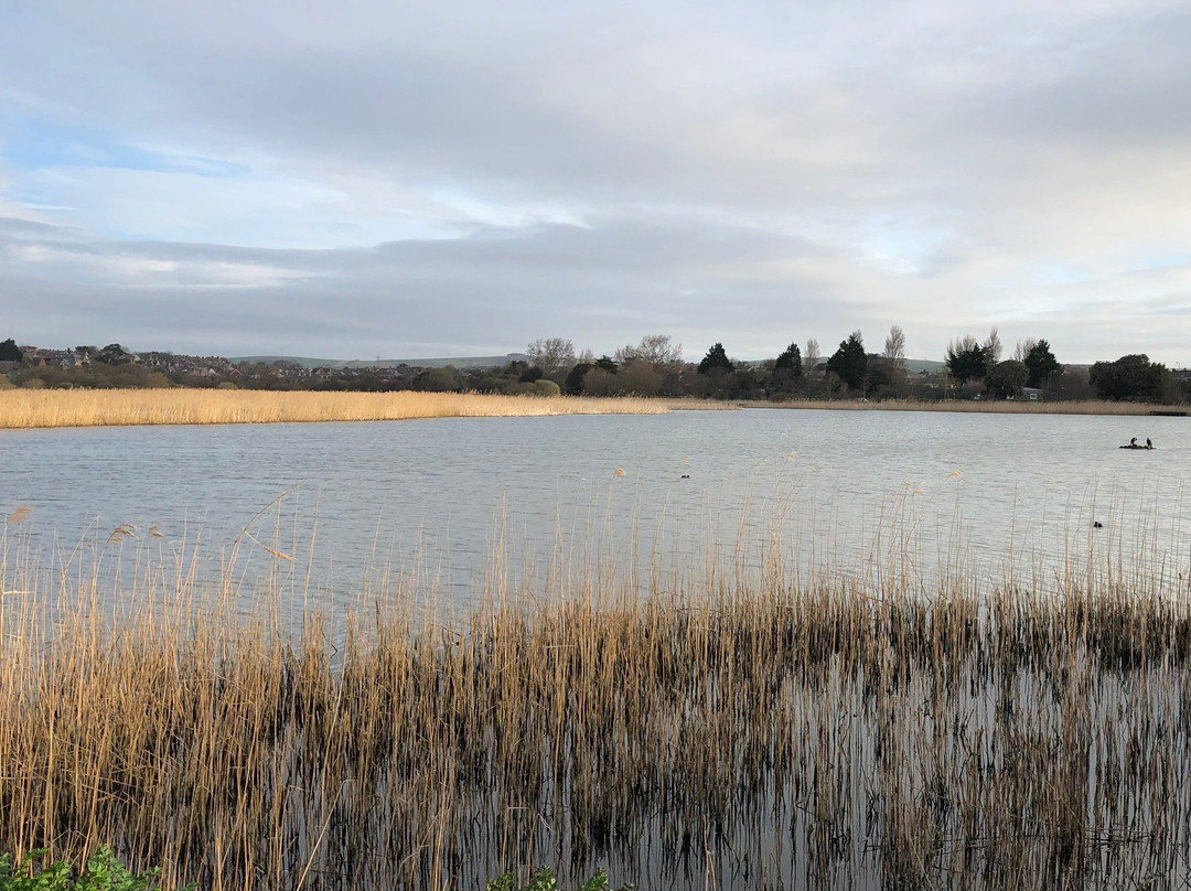 RSPB Weymouth Wetlands at Radipole Lake Nature Reserve景点图片