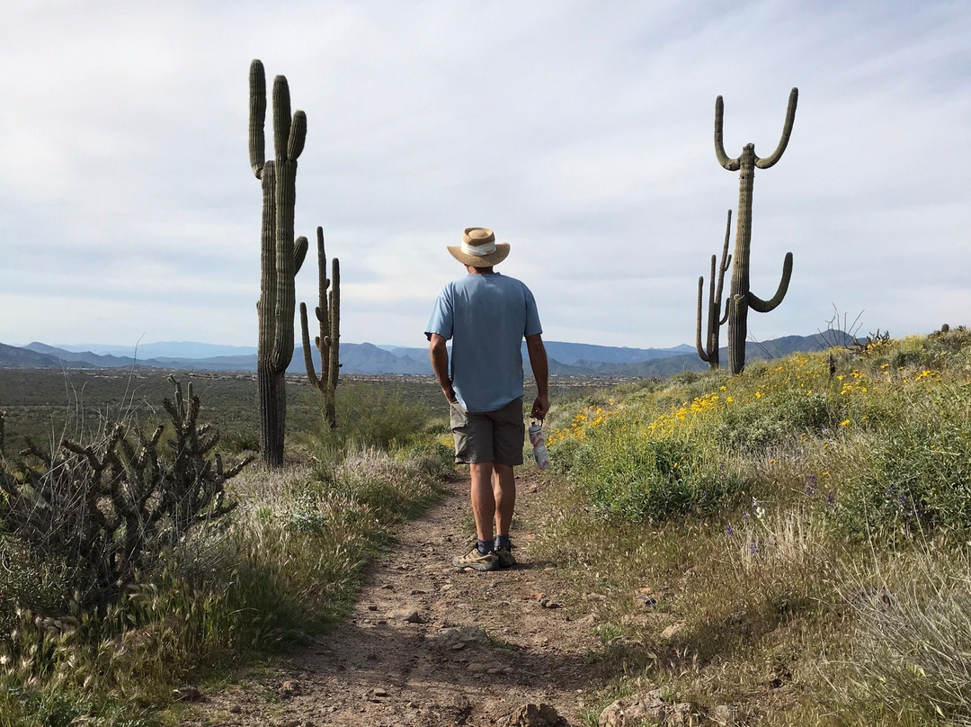 Brown's Ranch Trailhead-斯科茨代尔必去景点