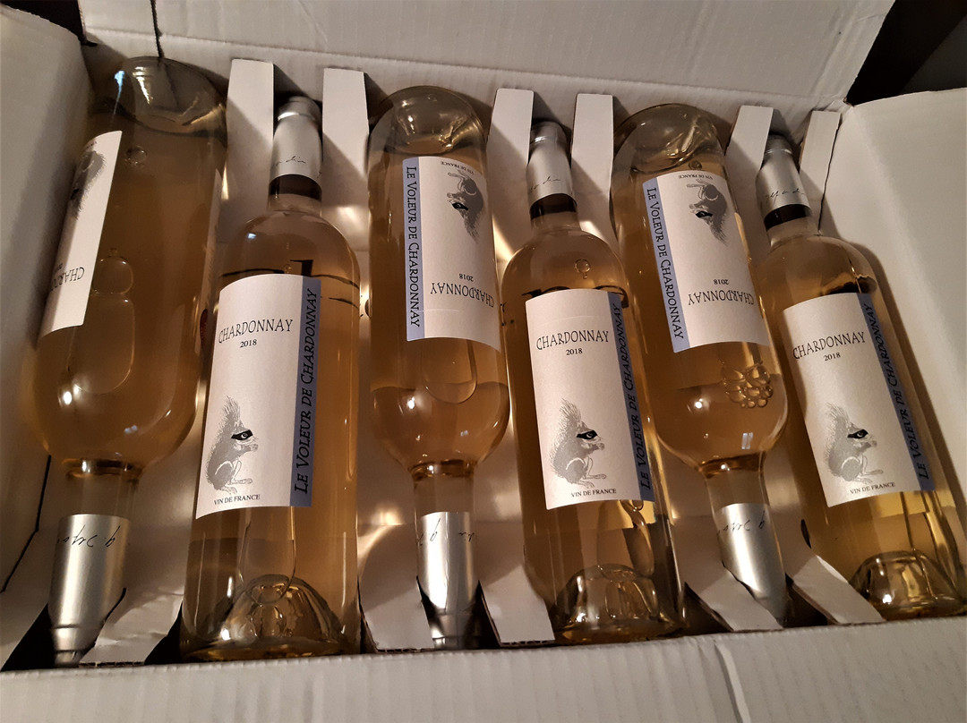 Château de Tigné Vins Gérard Depardieu景点图片