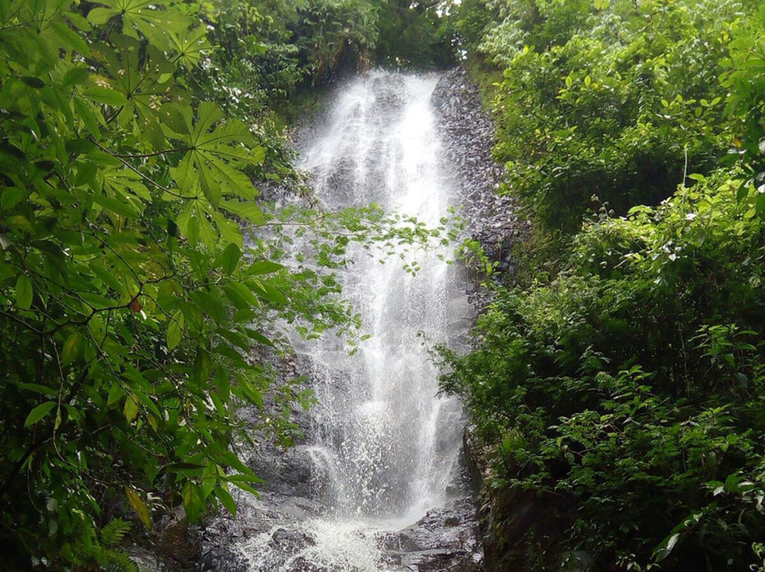 Viva Brotas Barbieri主图