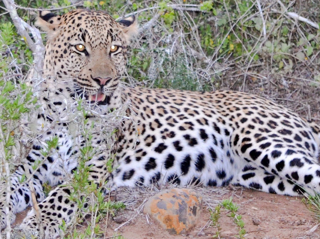 Eagles Crag Lodge主图