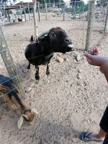 Imhoff Farm-Kommetjie必去景点