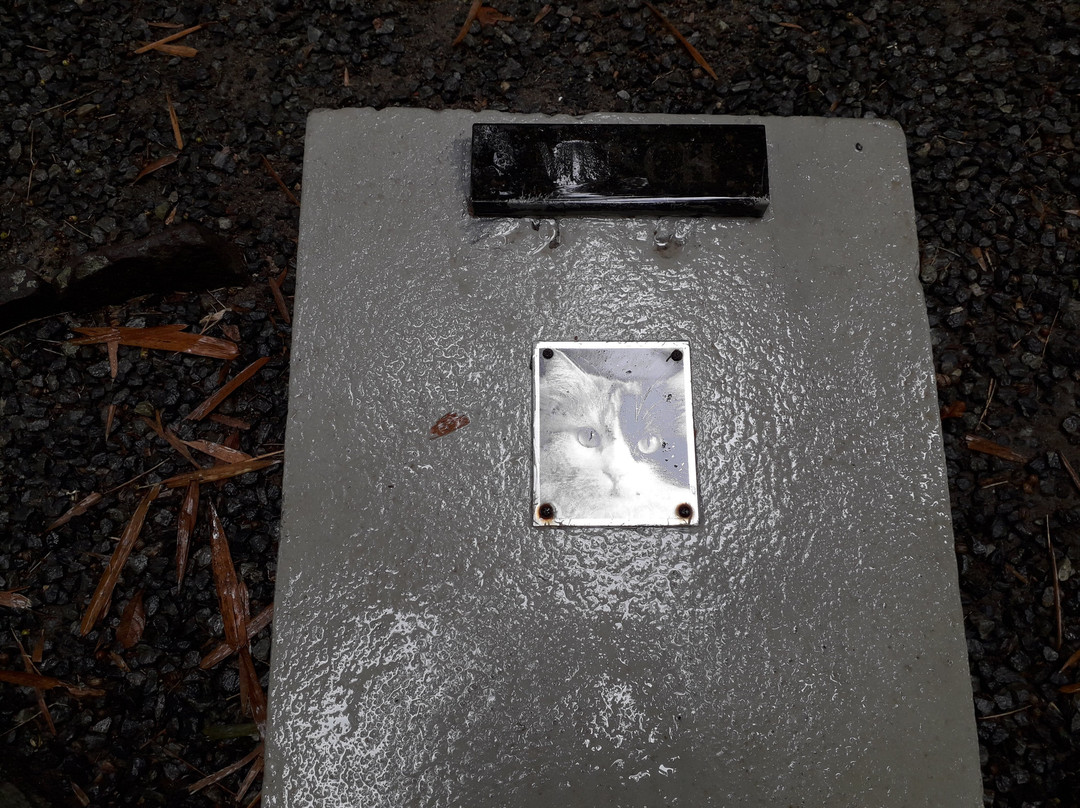 Cemiterio De Gatos-Blumenau必去景点