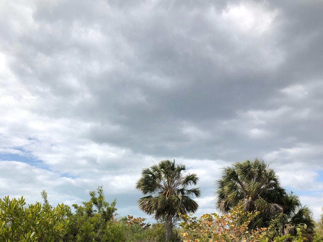 Galt Preserve-Saint James City必去景点