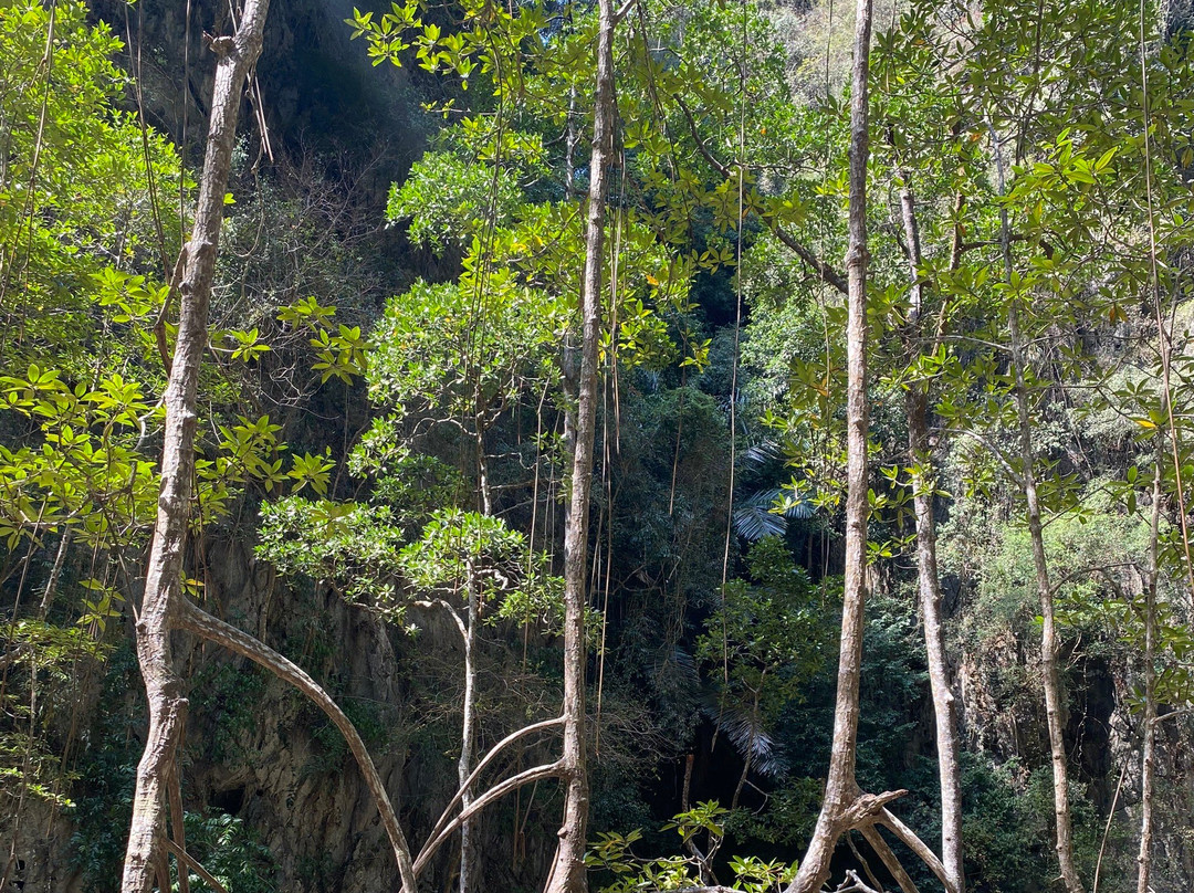 Jp Andaman Tour景点图片