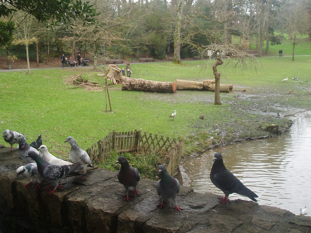 Parc de Procé景点图片