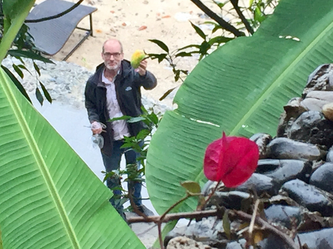 Tropical Beach Villa Resort主图