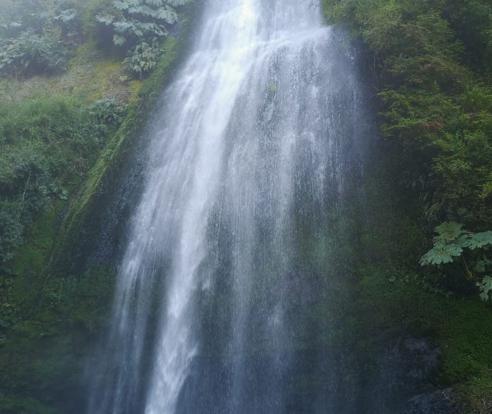 Cascadas de Tocoihue景点图片