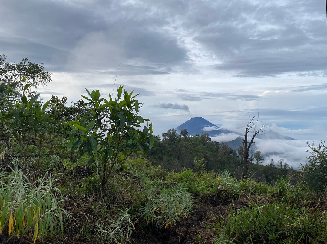 Ijen Pepe Tour景点图片