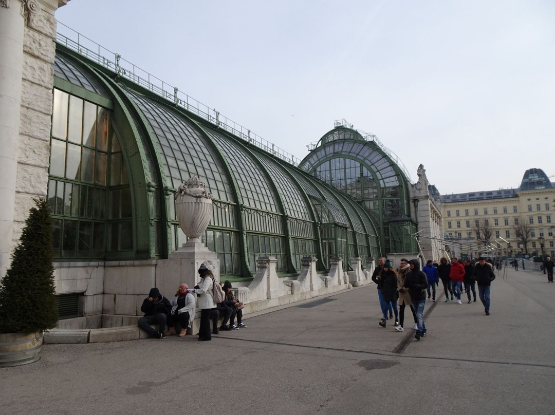 Palmenhaus Schoenbrunn景点图片