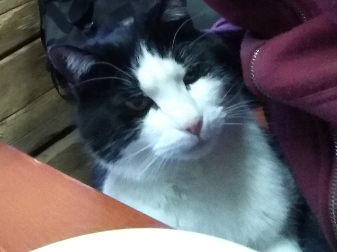 Maanselän Etappi-Sotkamo必去景点