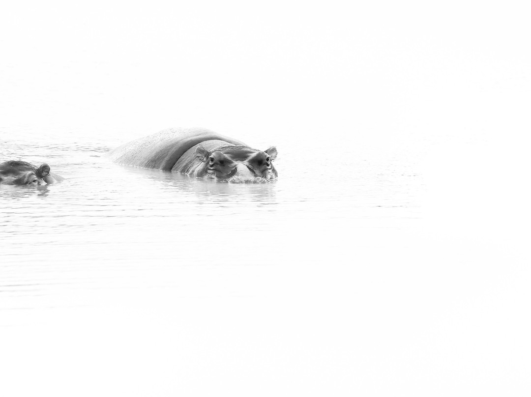 Africa Photographic Services-白河必去景点