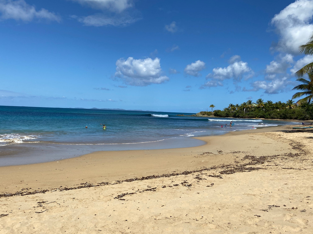 Isla Hermosa Guesthouse主图