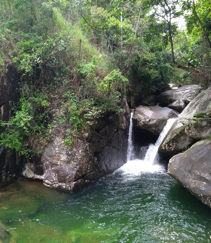 Parque Cachoeira das Andorinhas景点图片