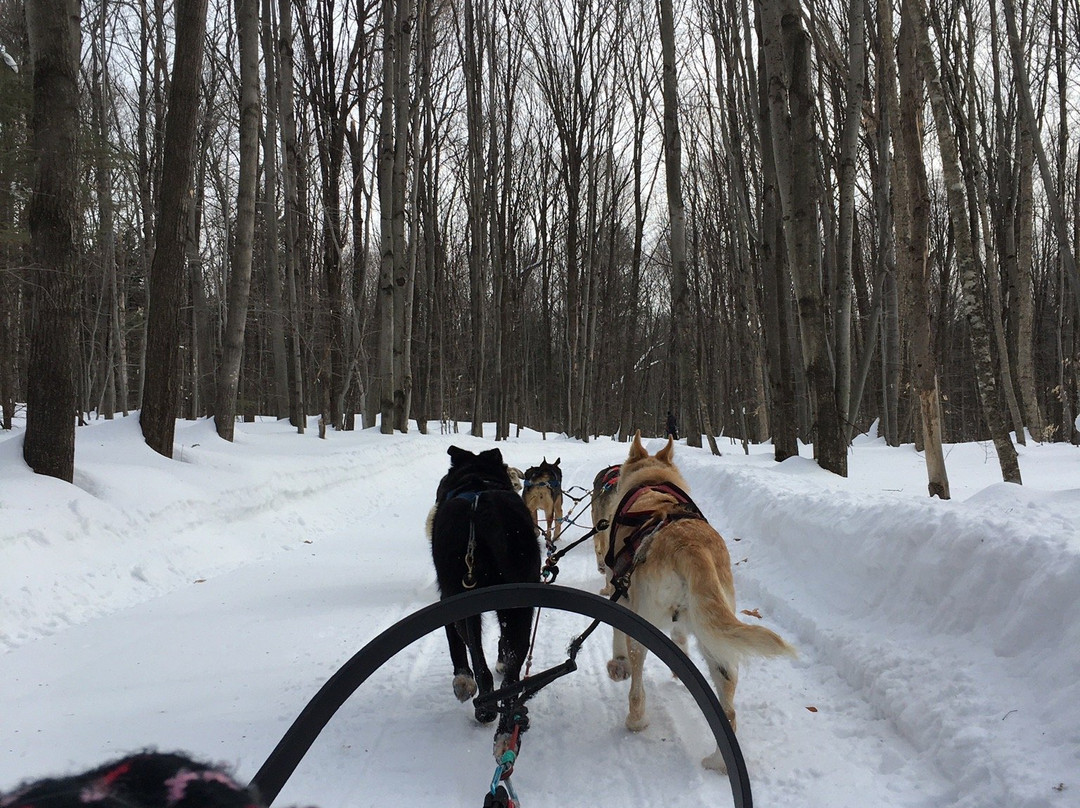 Les Aventures Liguoriennes-Saint-Liguori必去景点