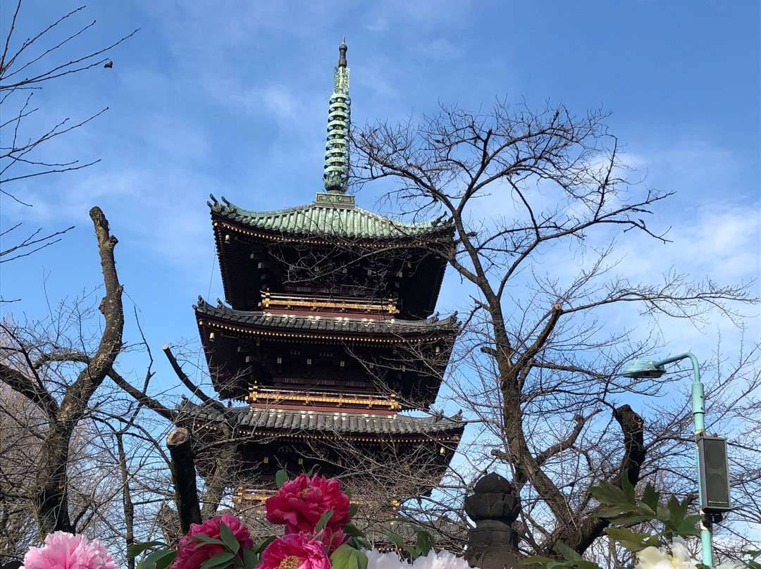 Ueno Toshogu Botanen-Uenokoen必去景点