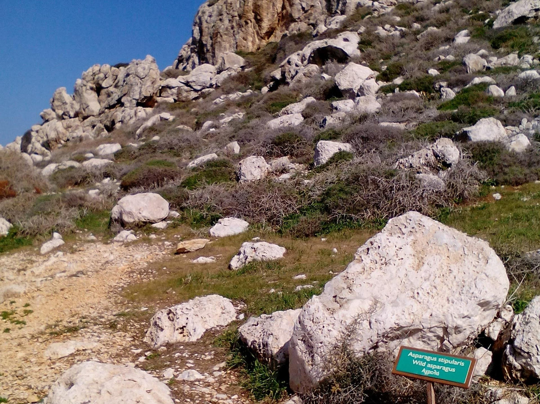 Cape Greco National Forest Park-阿依纳帕必去景点