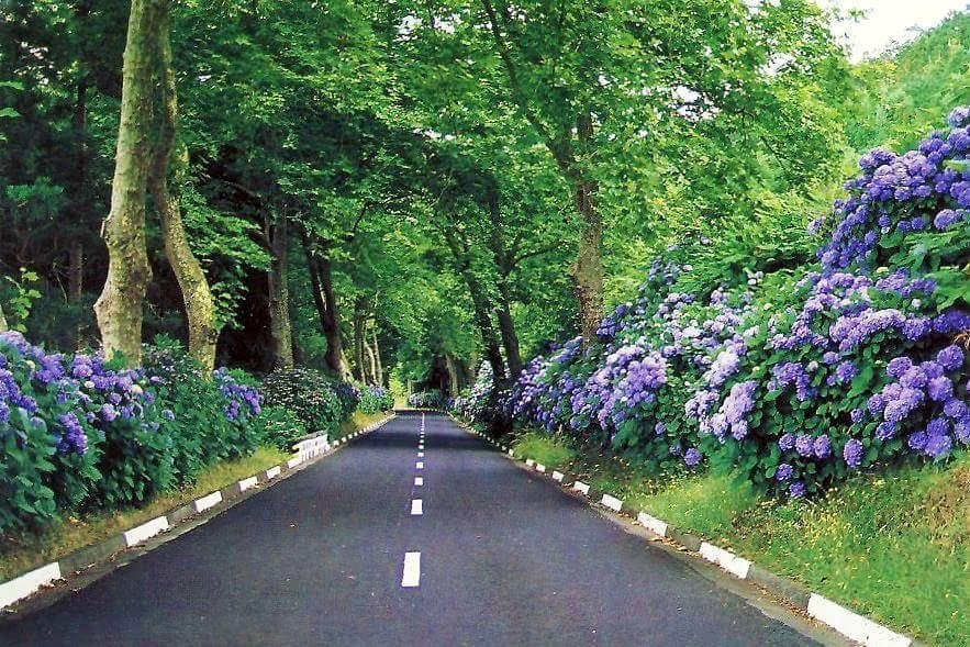 JMAZORESTOURS-蓬塔德尔加达必去景点