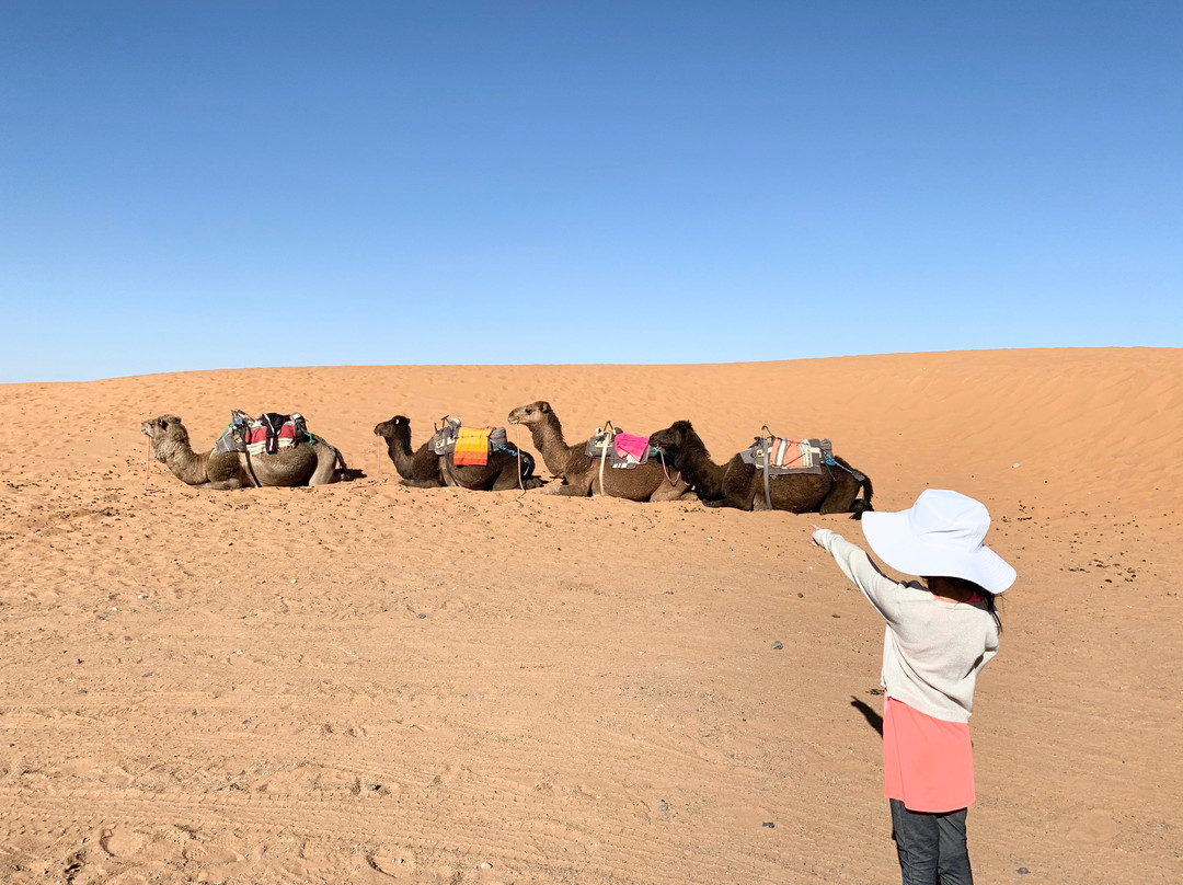 Sahara Luxury Trips-卡萨布兰卡必去景点