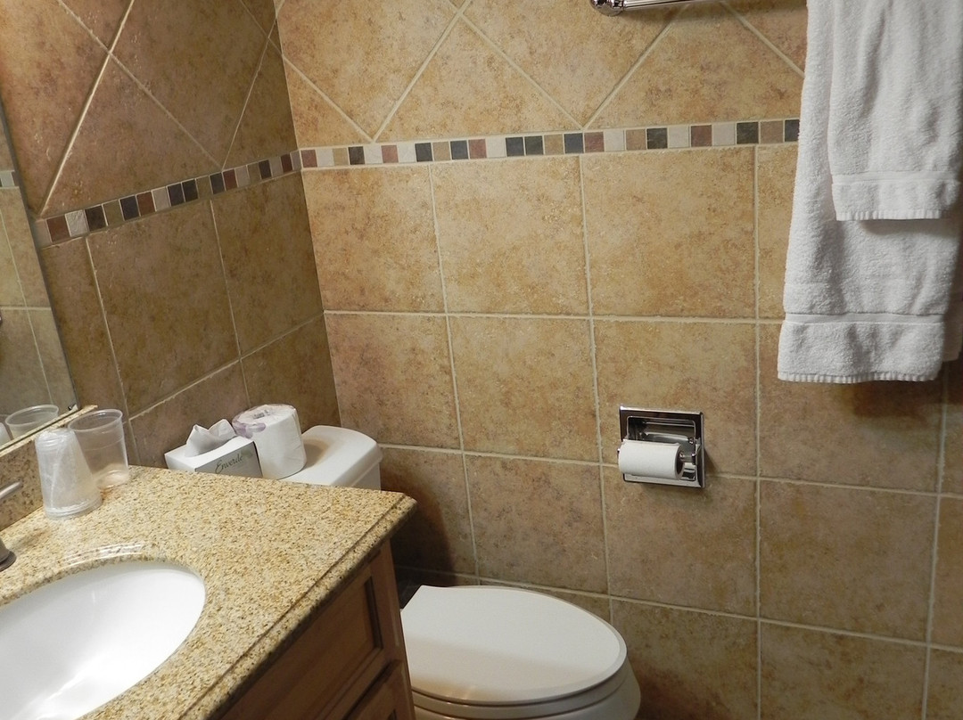 Rib Mountain Inn & Townhouses主图