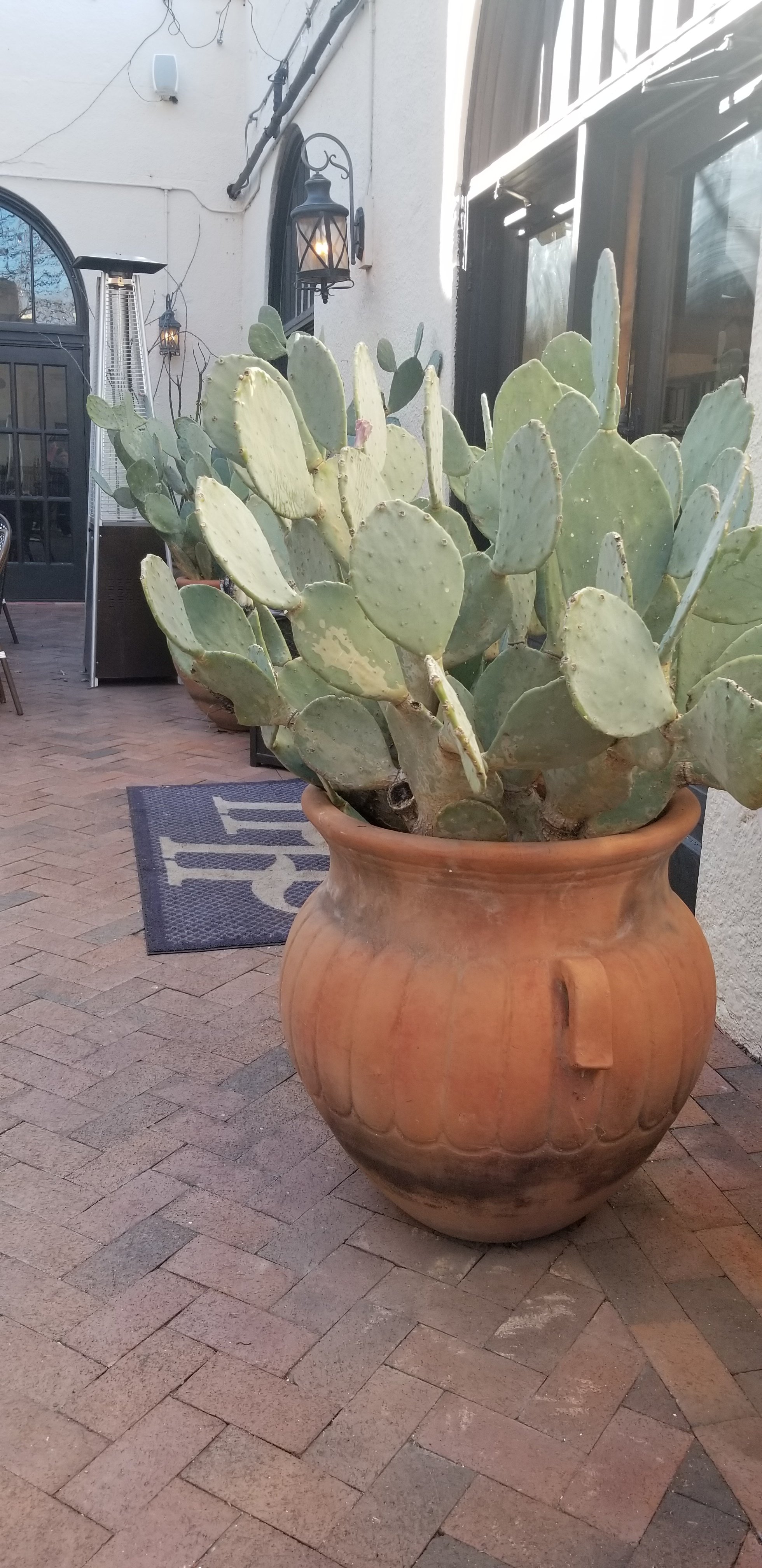 Holland Hotel-浴室